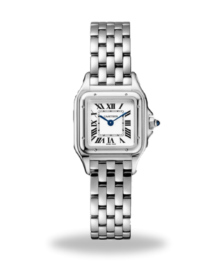 Cartier Panthère Silver